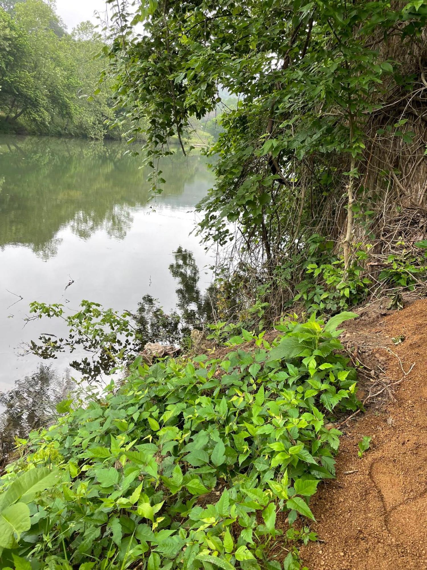 Rv Located On Private Property, Providing Access To The Guadalupe River, Accommodates Up To 5 Guests นิวบราวน์เฟลส์ ภายนอก รูปภาพ